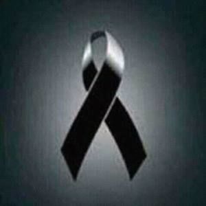 Meet your Posher, Luis